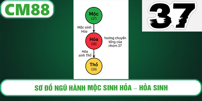 Sơ đồ ngũ hành Mộc sinh Hỏa – Hỏa sinh Thổ thể hiện hướng chuyển tổng của nhóm 37.